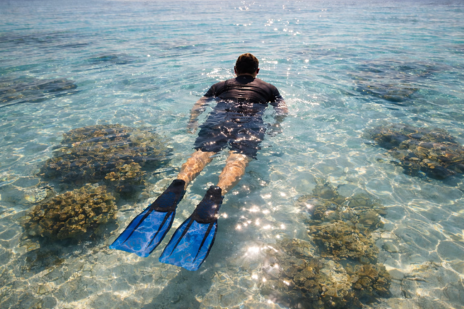 Snorkeler from behind in clear water